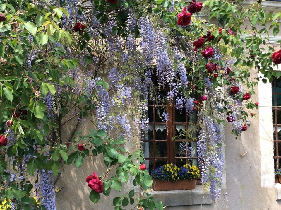 Bed and Breakfast Cote Jardin Villiers-sur-Loir Exterior foto